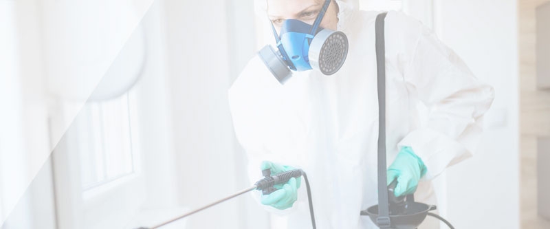 Дезинфекция Дезинфекция